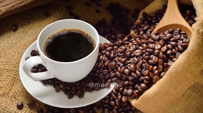 Não jogue a borra de café fora: 4 dicas incríveis para aproveitar esse ‘pó mágico’
